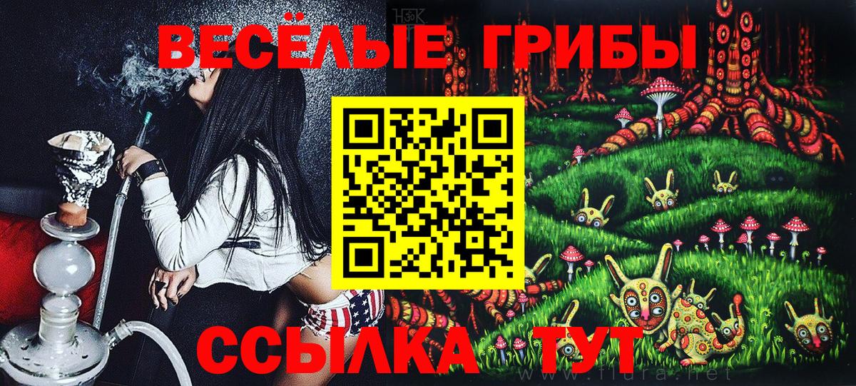 Псилоцибиновые грибы Psilocybe  Псилоцибиновые грибы прущие грибы  Вход с VPN  Минусинск 