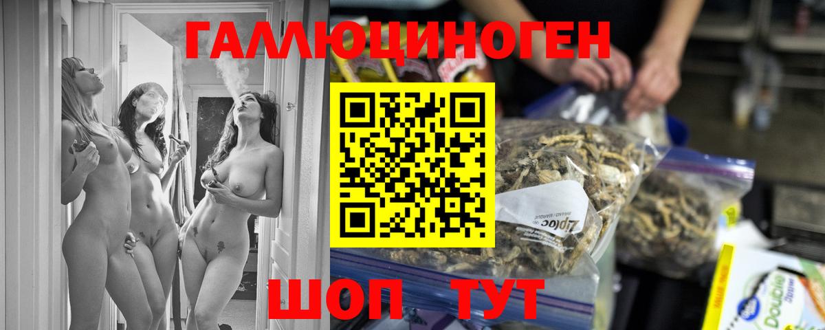 Псилоцибиновые грибы GOLDEN TEACHER Минусинск